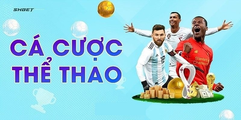 Thể thao SHBET là cái tên luôn xếp hạng top đầu trong lĩnh vực giải 